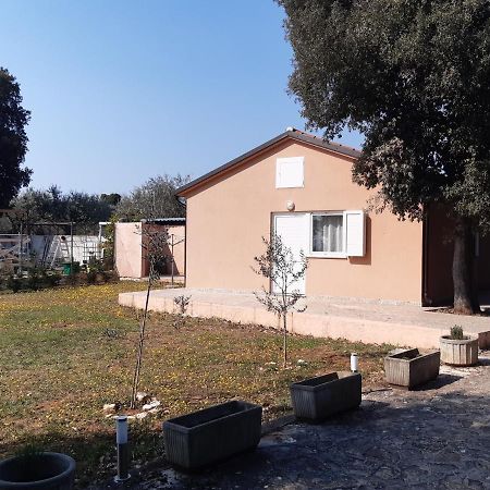 Lave II Cozy House Villa Ližnjan Kültér fotó